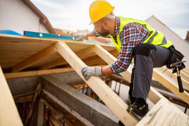 Roof Gutter Cleaning in Paulina, LA