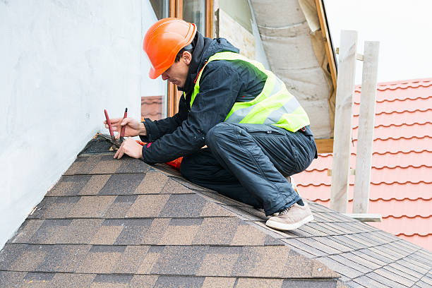Best Roof Gutter Cleaning  in Paulina, LA